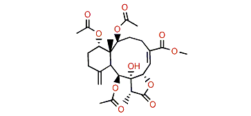 Frajunolide Q